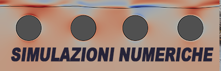 SIMULAZIONI NUMERICHE